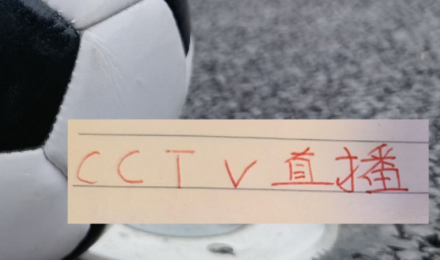 德甲推荐-喜讯！海港的比赛有CCTV直播 再加上加布里回春 上海德比能稳吗