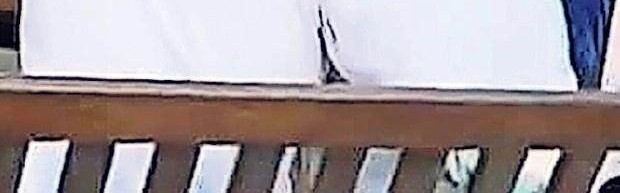 足球投注-真吃瓜？太阳报记者拍到阿里在酒吧亲吻瓜帅闺女